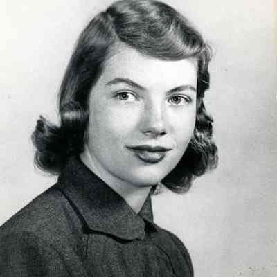 Cynthia Stein