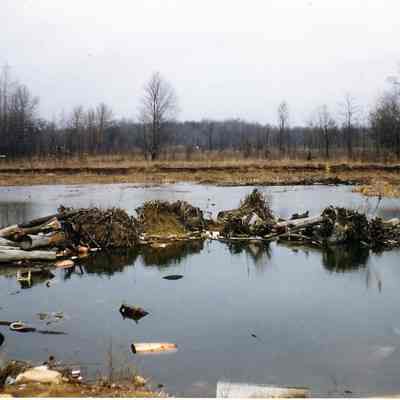 Flooded Land
