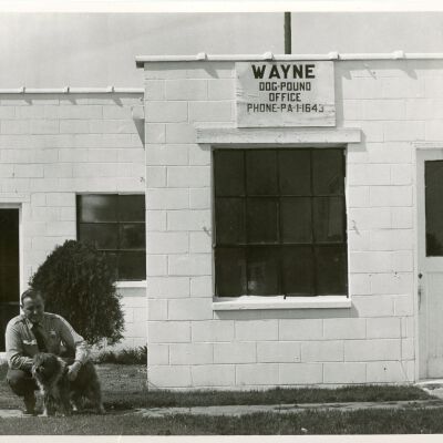 Wayne Dog Pound