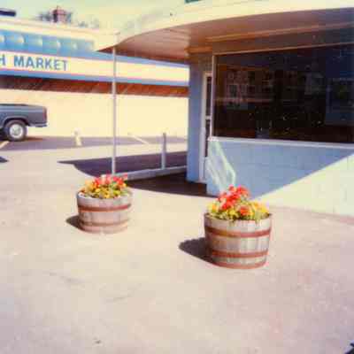 Chamber Flower Pots