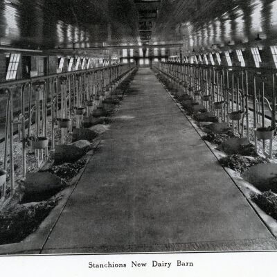 Interior New Dairy Barn