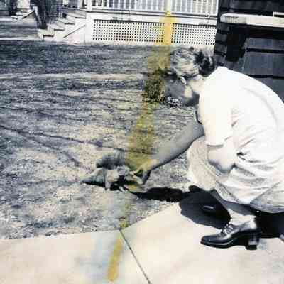A women feeding a squirrel.