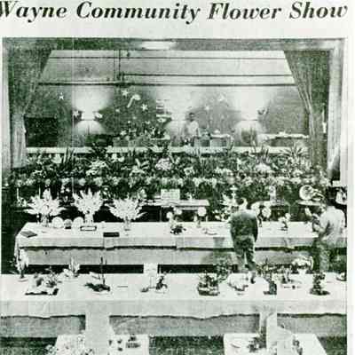 Garden Club Wayne Community Flower Show