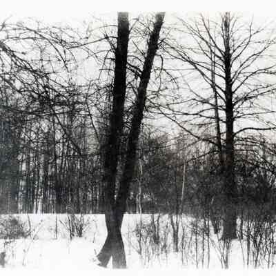 Rouge River in Winter