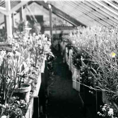 Inside the Warner Greenhouse.