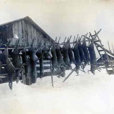 U.P. Hunting Trip