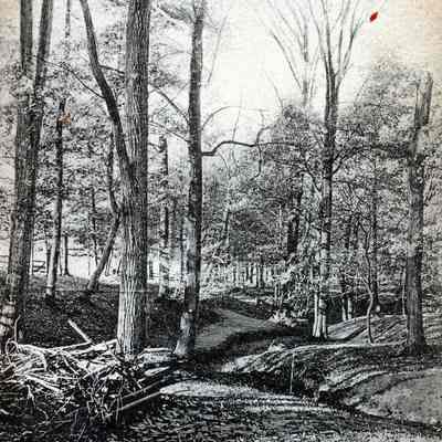 Jamieson Park
