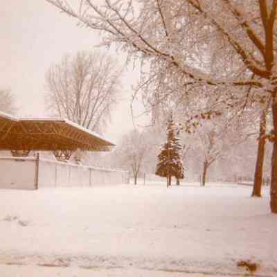 Winter Scene
