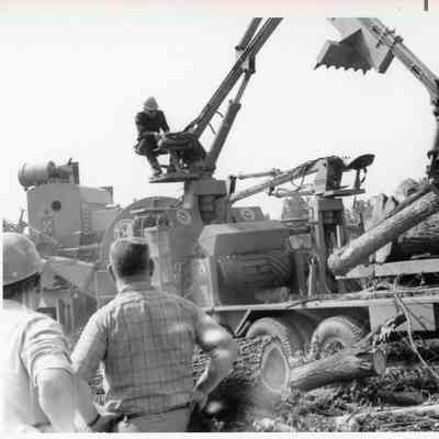 D.P.W workers moving large tree trunks.