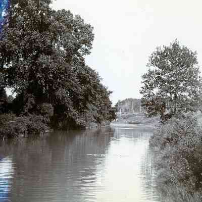The Lower Rouge River