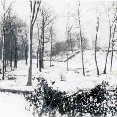 Rouge River in winter