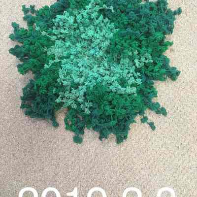 Green Wool cover
