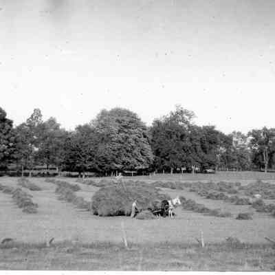 Carpenter Farm Hay Fields