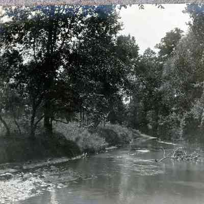 Lower Rouge River in Newburg in Wayne Co, Michigan on Aug. 5, 1900.