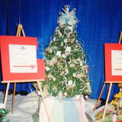 Festival of Trees