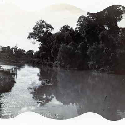 Rouge River
