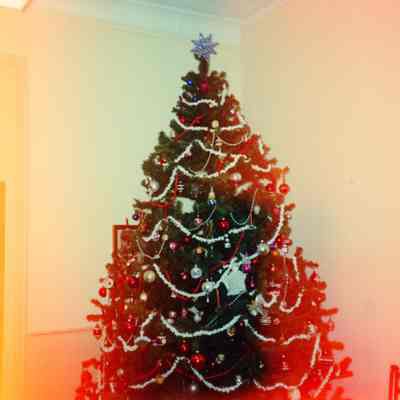 Garden Club Christmas Event