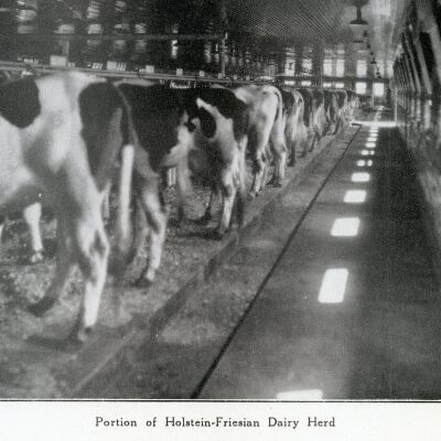 Interior New Dairy Barn