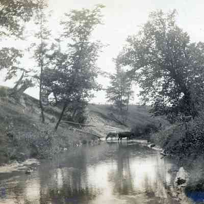 Lower Rouge River, Newburg, Wayne Co, Michigan on Aug. 5, 1900.