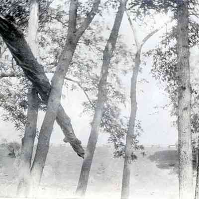 Collins Place on the Huron River in Belleville, Michigan.