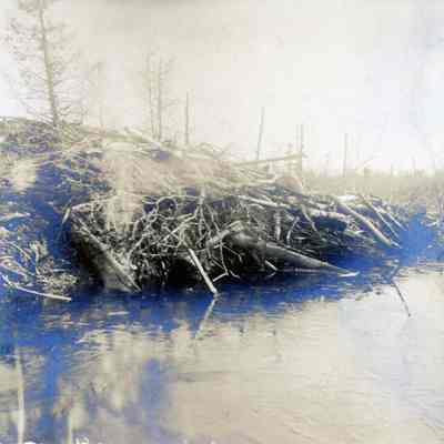 U.P. Hunting Trip