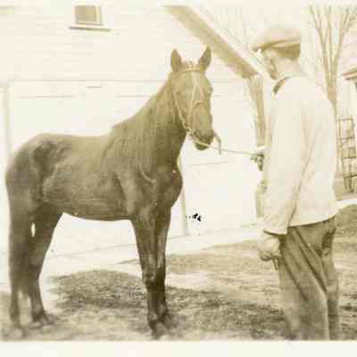 Tony Snyders Horse