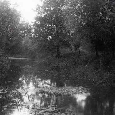 Rouge River