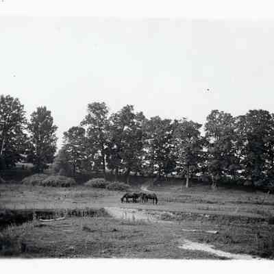 Tonquish Creek