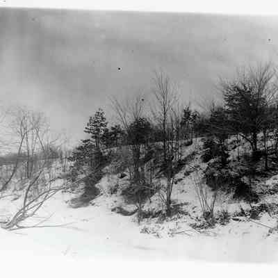 Rouge River Back of Cemetery