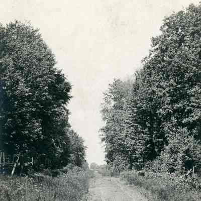 Howe Road South of Tracks 1901