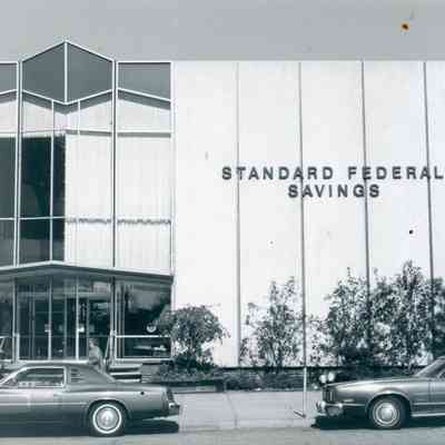 1981