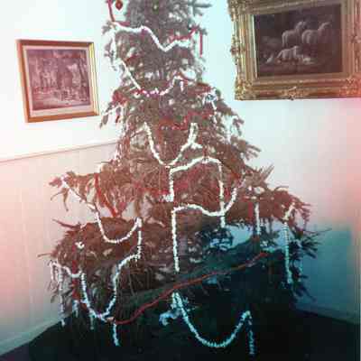 1990 Christmas tree right before it was taken down on 01/02/1991.