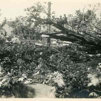 Michigan Avenue After The Cyclone Storm of June 4, 1911