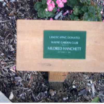 Updated Plaque