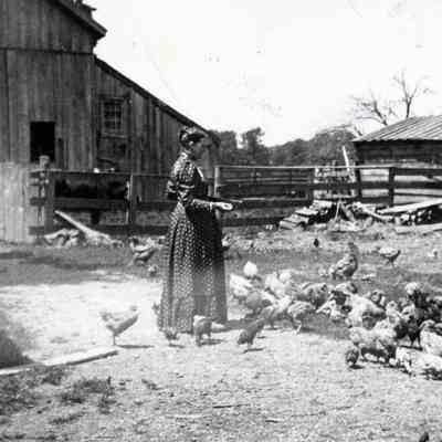 Mrs. Sarah Blount feeding chickens
