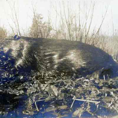 U.P. Hunting Trip