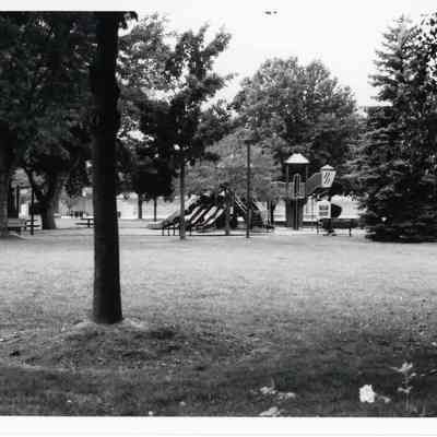 Views around Goudy park