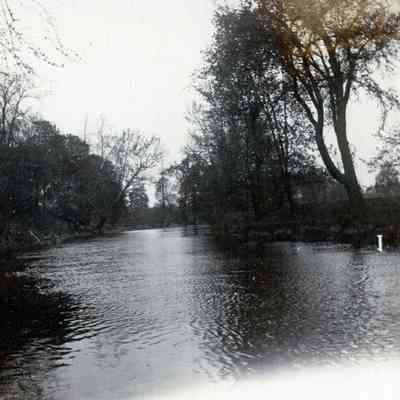 A river, maybe Huron or Rouge.