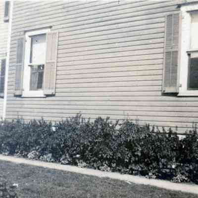 Roper's flowers in the summer of 1912.
