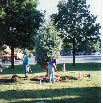 DPW Replacing Christmas Tree from a Bad Storm