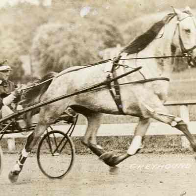 Horse Racing