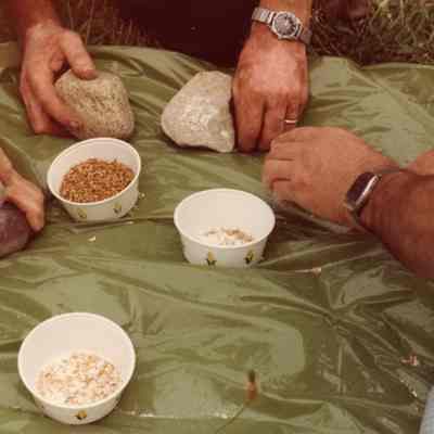 Preparing wheat for making bread at the Sunday School, Out Door Service and Homecoming on July 18, 1982.