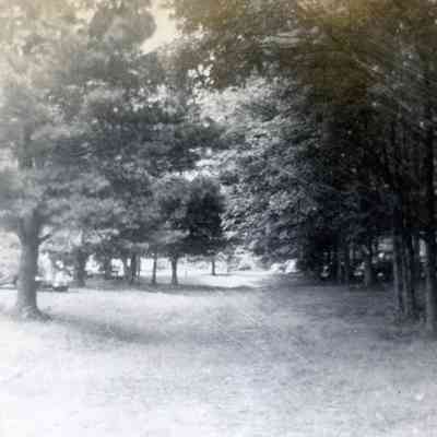 Roadway at Liley Lake.