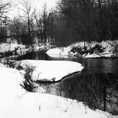 Rouge River