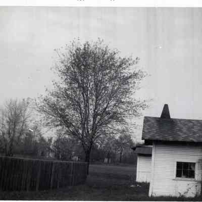 1971 Photos