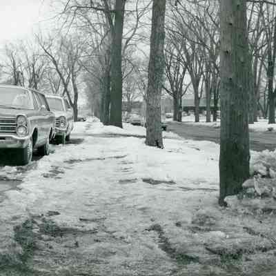 Park at Sophia looking East
