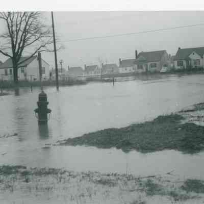Winnifred Street Flood 1950