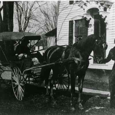 Unknown Woman. Horse and Cart