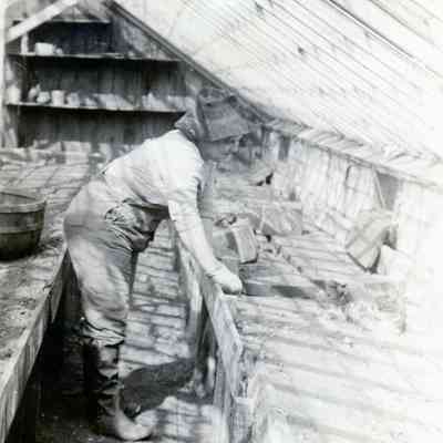 Maude Warner in greenhouse.