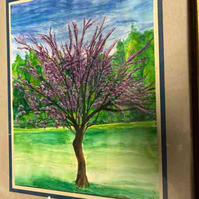 Spring Time at Goudy Park